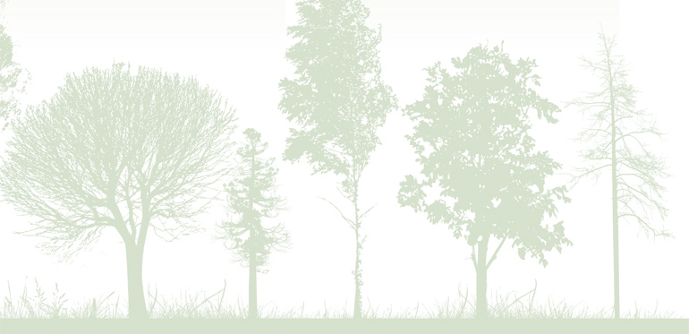 Illustration över trädsilhuetter. Illustration: Shutterstock & Anna Beije