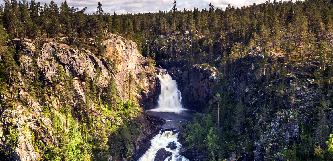 Muddus/Muttos nationalpark i Norrbotten. Foto: Shutterstock