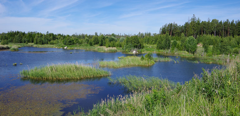 Jägarsjön på Skogssällskapets fastighet Bredvik norr om Rimbo i Uppland.